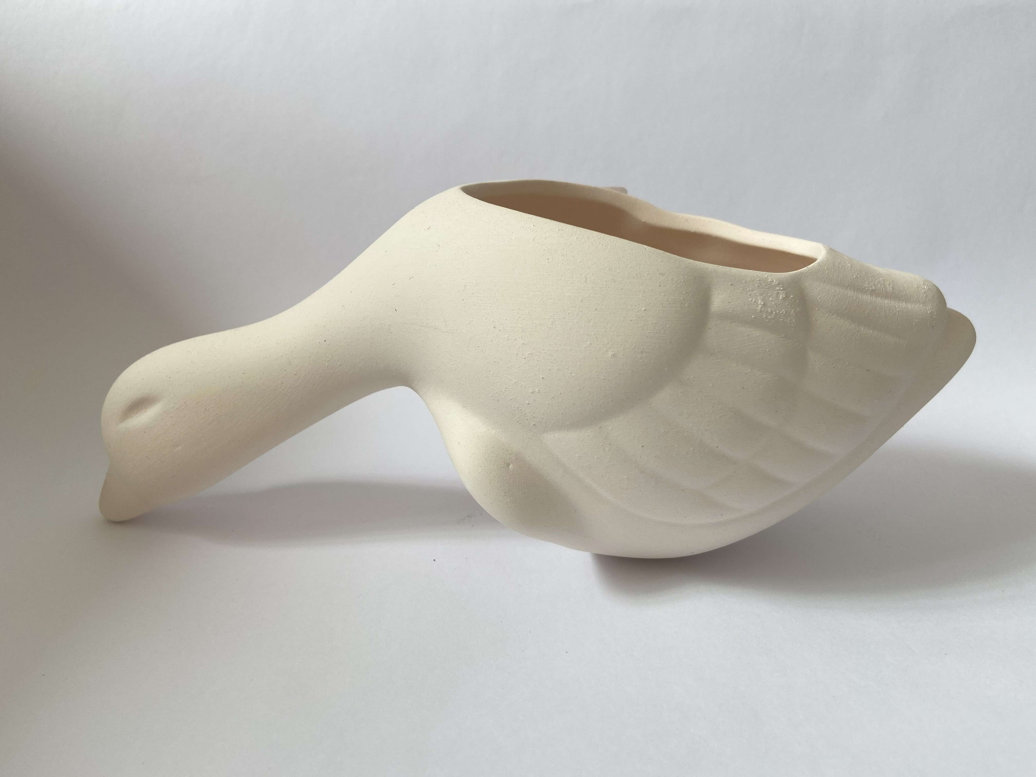 Pato Floreira